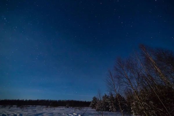 Зимний ночной пейзаж с лесами под звездным небом — стоковое фото