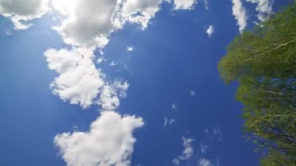 Nagrań 4 k Timelapse nagrania timelapse chmury. — Wideo stockowe