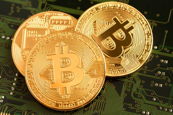 Devre kartı üzerinde altın Bitcoin Cryptocurrency.