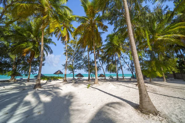 Перфектный белый песчаный пляж с пальмами — стоковое фото