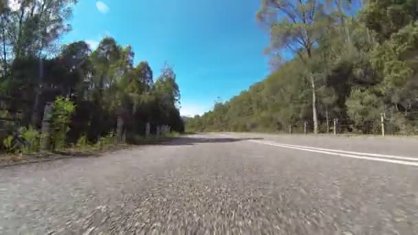 Een auto rijden door een bos — Stockvideo