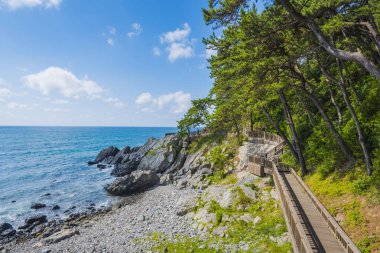 Haeundae Beach adlı Busan içinde Korea.