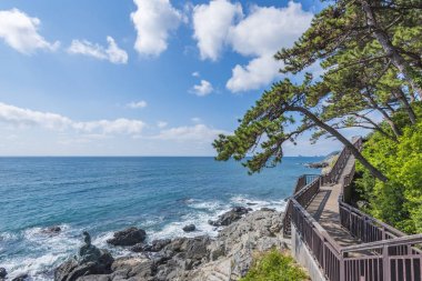 Haeundae Beach adlı Busan içinde Korea.