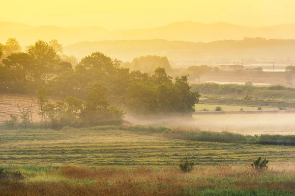 Soluppgång i lantgård på landsbygden Korea. Anseong jordbruksmark — Stockfoto