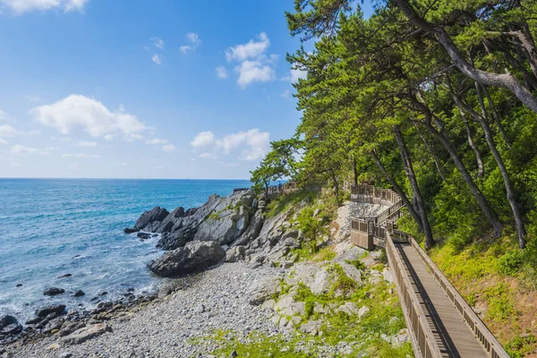 Haeundae Beach adlı Busan içinde Korea.