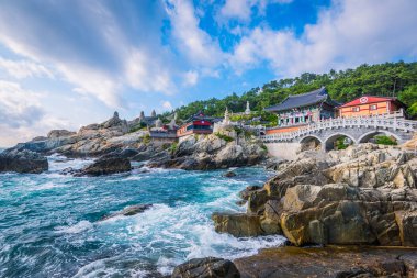 Güney Kore Busan 'daki Haedong Yonggungsa Tapınağı