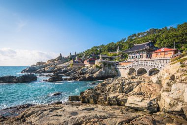 Güney Kore Busan 'daki Haedong Yonggungsa Tapınağı