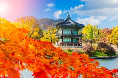 Gyeongbokgung Sarayı, Seul Güney Kore sonbahar.