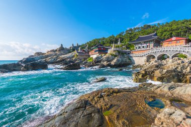  Güney Kore Busan 'daki Haedong Yonggungsa tapınağı.
