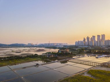 Windmill Incheon Sohrae ekolojik Park, S havadan görünümü