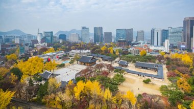 Sonbahar Deoksugung Kraliyet Sarayı ve Seoul City Hall Seul, S