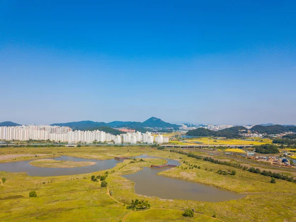 인천 Sohrae 생태 공원에서 나무 풍차의 항공 보기 — 스톡 사진