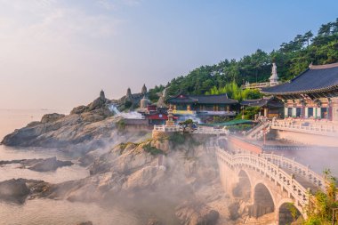 Güney Kore Busan 'daki Haedong Yonggungsa Tapınağı