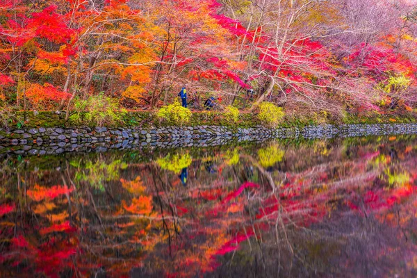 Outono do Parque Nacional de Naejangsan, Coreia do Sul . — Fotografia de Stock