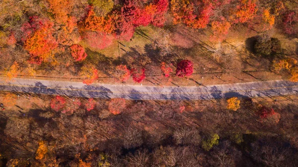 Outono do Parque Nacional de Naejangsan, Coreia do Sul — Fotografia de Stock
