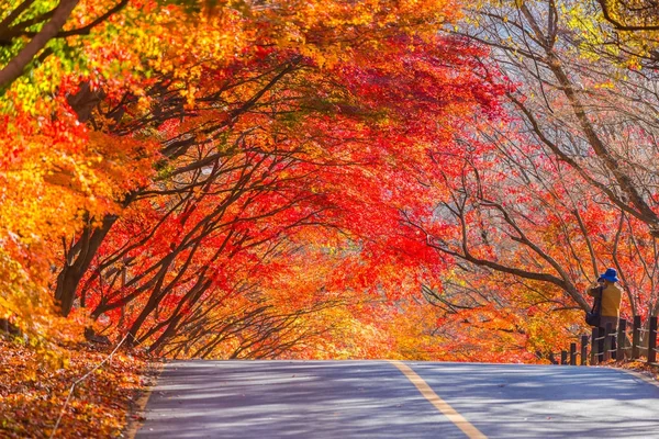 Outono do Parque Nacional de Naejangsan, Coreia do Sul — Fotografia de Stock