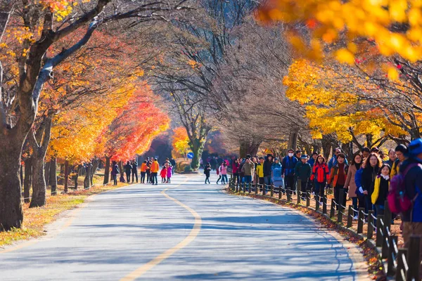 Güney Kore-Kasım 2017:Autumn Naejangsan Milli Parkı, Güney Kore.