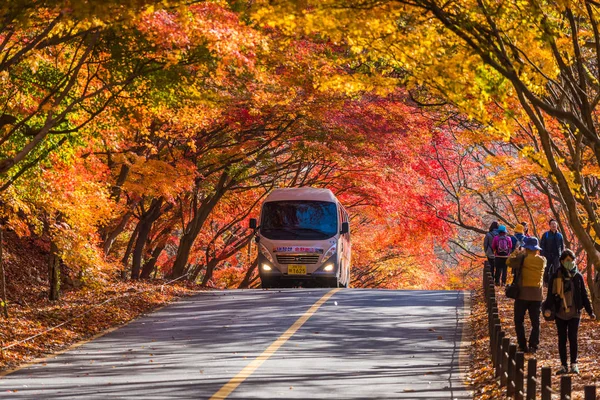 COREIA DO SUL-NOVEMBRO 2017: Outono do Parque Nacional de Naejangsan, Coreia do Sul . — Fotografia de Stock