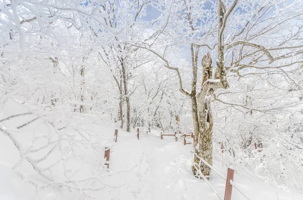 Winterlandschaft in den Bergen mit fallendem Schnee in seoul, so — Stockfoto