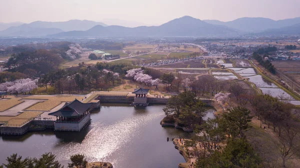 韩国Kyeongju Cherry Fastival的空中景观. 免版税图库图片