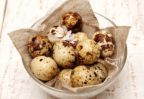 Sepette Bıldırcın Yumurtası Üst Manzara Paskalya Konsepti — Stok fotoğraf