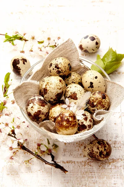 Spring Quail Eggs Basket Top View Easter Concept — Stock Photo, Image