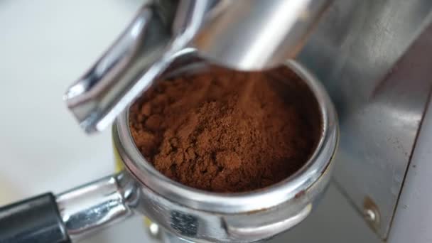Barista grinds coffee into holder on the coffee grinder, for making americano, cappuccino, latte.