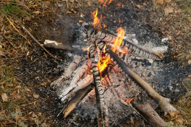 Kamp ateşi külleri ile yakın görüş.