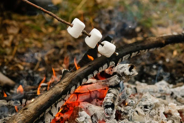 Aile, çadırın yakınındaki bir kamp ateşinde marşmelov kızartıyor..