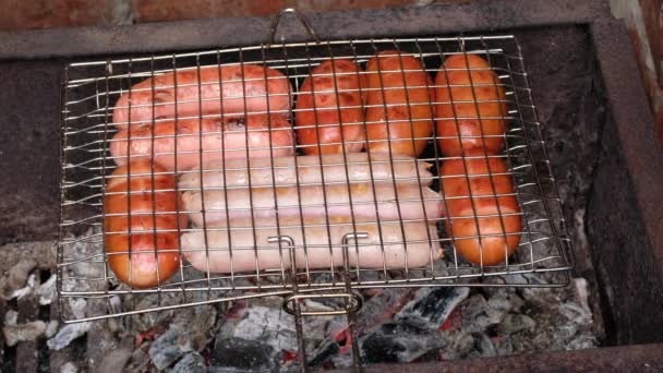 Family Grilling Bratwurst Sausages Grid Country Friends Camping Weekend — Stock Video