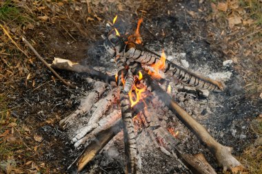 Kamp ateşi külleri ile yakın görüş.