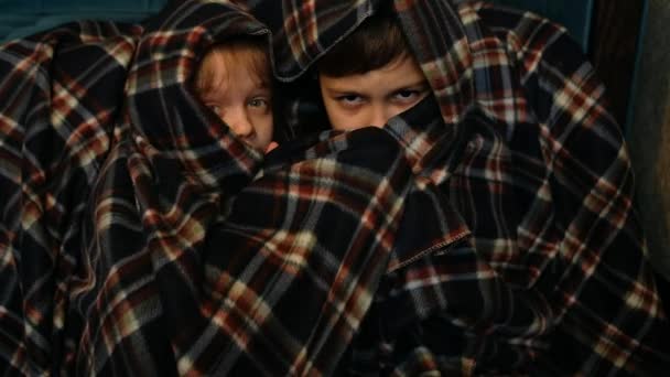 子供たちは夜テレビを見ている 少年少女は毛布の中に逃げ隠れ — ストック動画