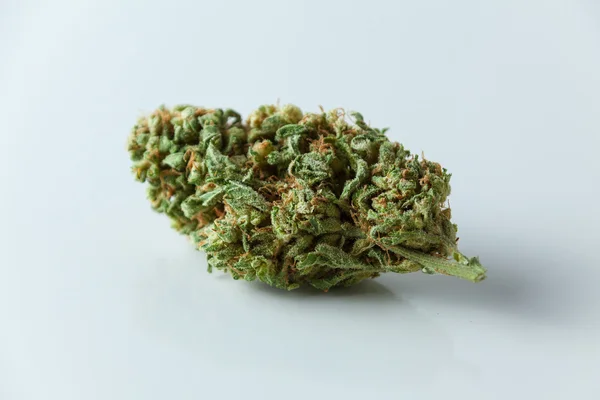 Marijuana Bud, Cannabis, Pot, Weed Close Up Isolated On White Ba — Stock Photo, Image