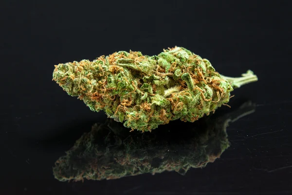 Esrar Bud esrar siyah arka plan üzerine kapatın. Seçici F