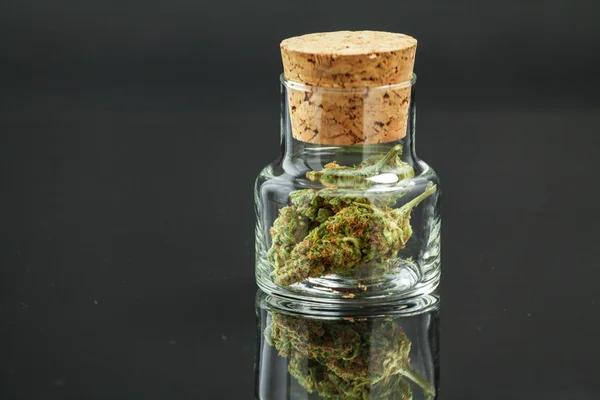 Marihuána Bud Cannabis üvegedénybe Close Up-fekete háttér — Stock Fotó