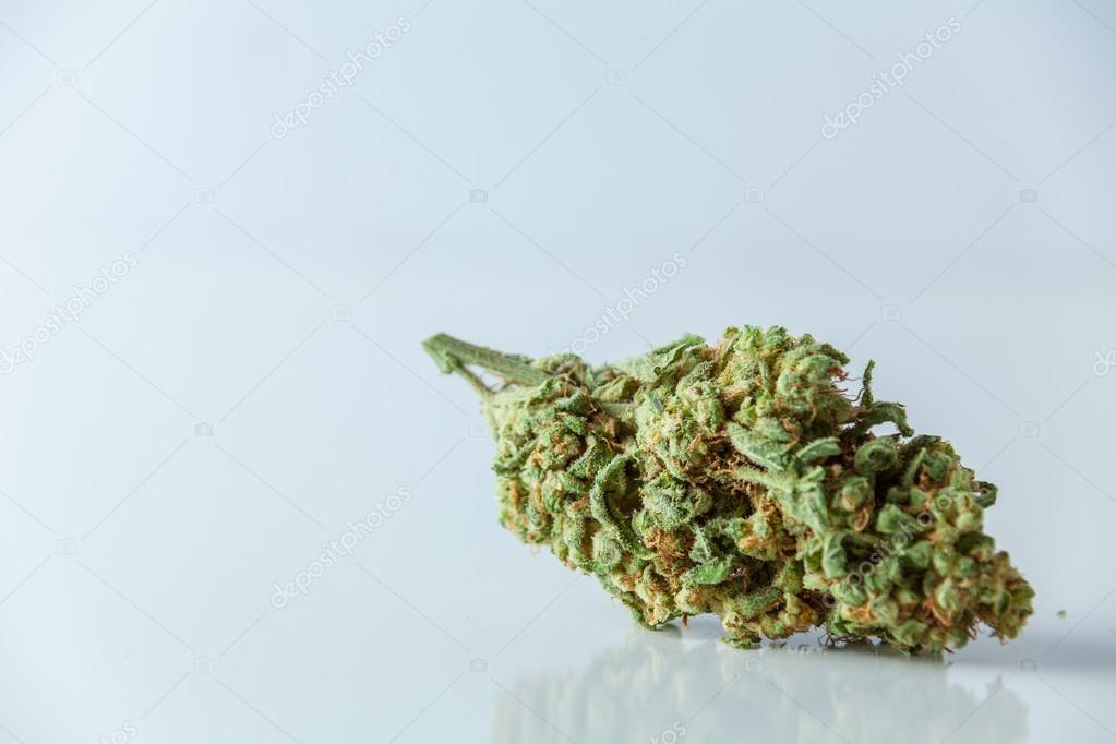 Marijuana Bud, Cannabis, Pot, Weed Close Up Isolated On White Ba