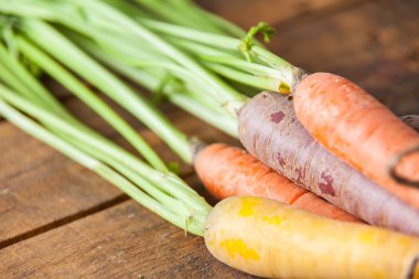 Vintage rustik ahşap üzerine bağlı olarak grup kadar organik çiğ havuç kapatın