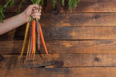 Hasat Havuç. Tops ile Havuç Demet ile El