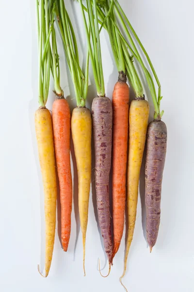 Zanahorias orgánicas frescas racimo colorido crudo aislado sobre fondo blanco —  Fotos de Stock