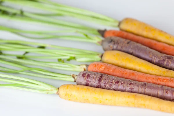 Zanahorias orgánicas frescas racimo colorido crudo aislado sobre fondo blanco —  Fotos de Stock