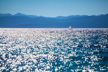 Lake tahoe Yelkenli