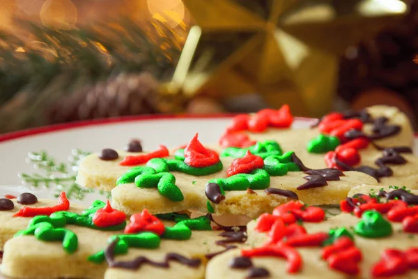 Organic Gluten Free Smiling Gingerbread Sugar Cookies Close Up — Stock Photo, Image