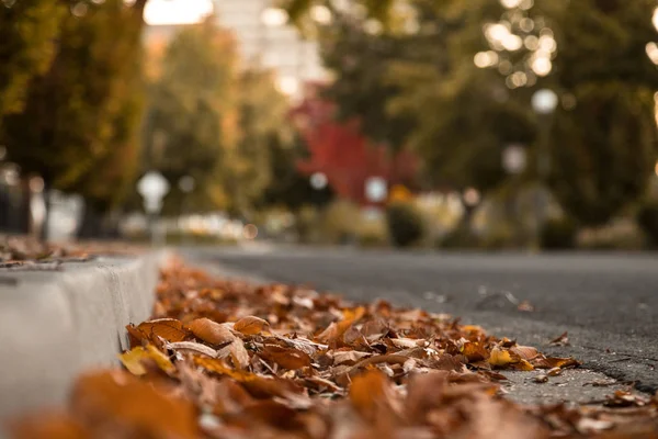 Kaldırıma şehir sokakta tarafından yere sonbahar yaprakları. — Stok fotoğraf