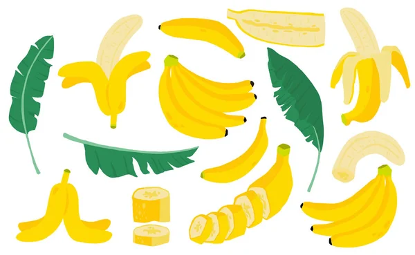 Cute banana fruit object collection.Whole, cut in half, sliced o — Stock Vector