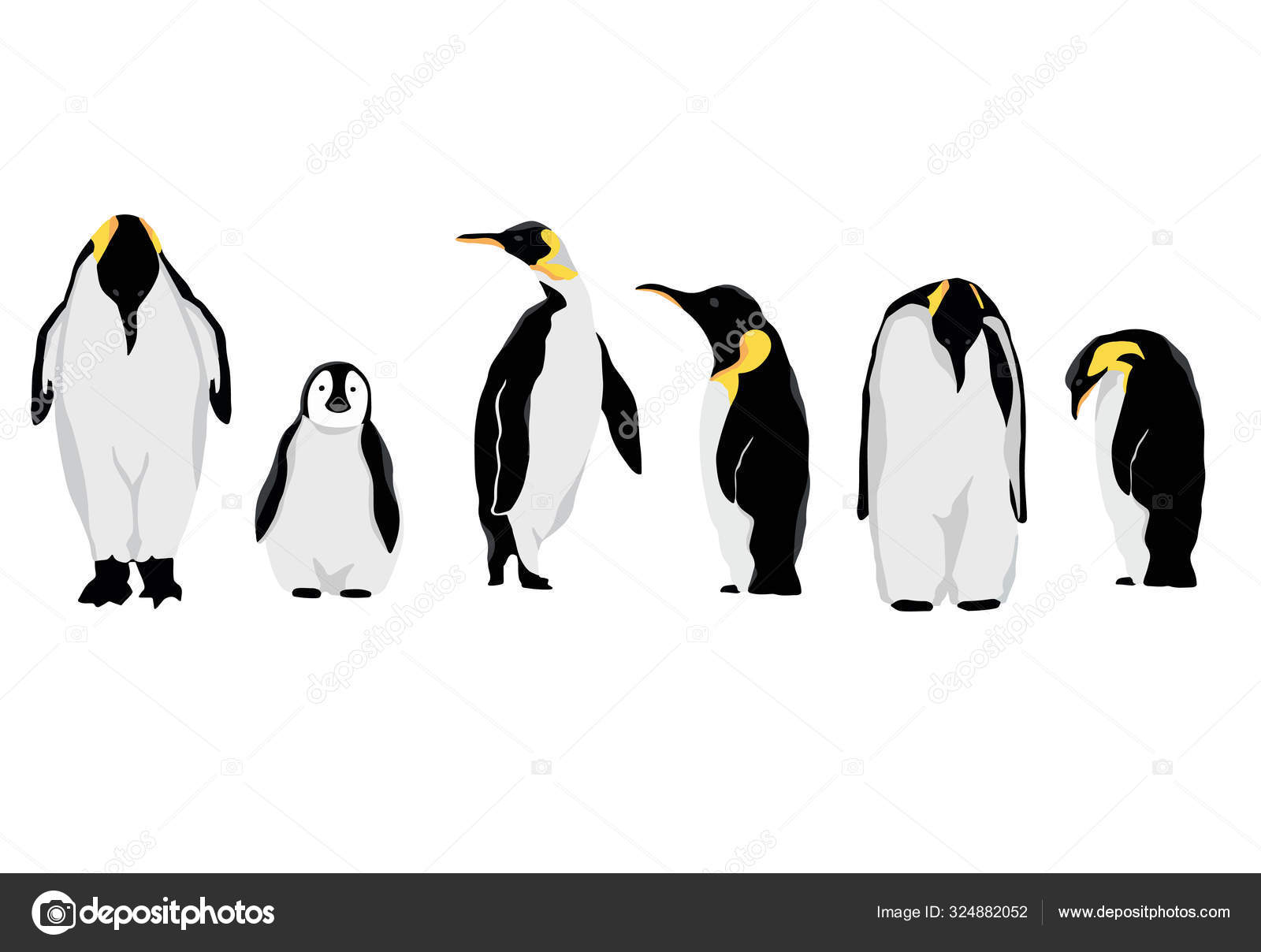 纯白的黑色企鹅的特征。矢量图解图库矢量图©supidcha_peach.hotmail.com 324882052, image size:1600x1208