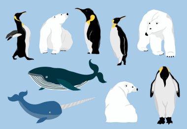 Kutup ayısı, penguen, balina gibi basit kutup hayvanları.