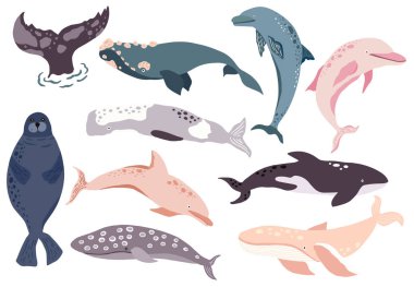 Simple whale,dolphin,sea lion character.Vector illustration char
