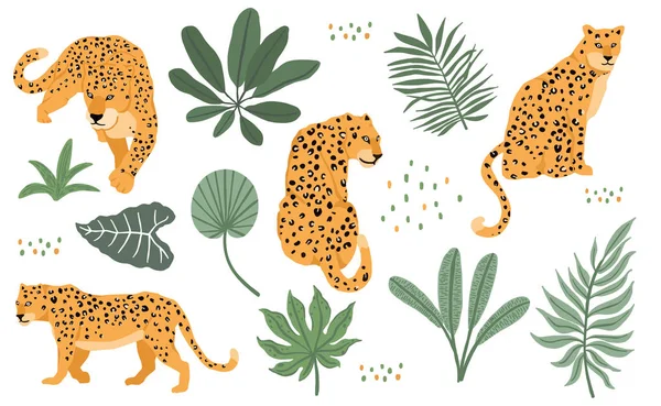 Mignonne collection d'objets animaux avec léopard, tigre. illustration f — Image vectorielle