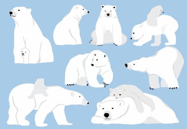 Simple white bear character.Vector illustration character doodle clipart