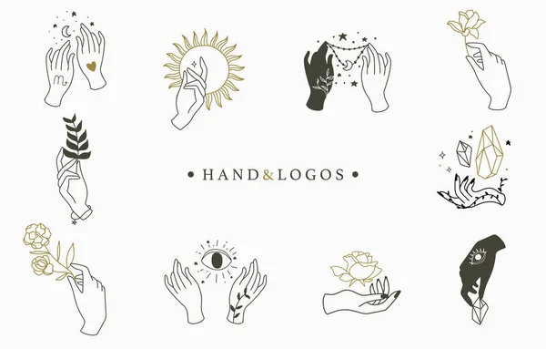 Beauty boho logo collection with hand, rose,crystal,moon,sun,sta — 스톡 벡터